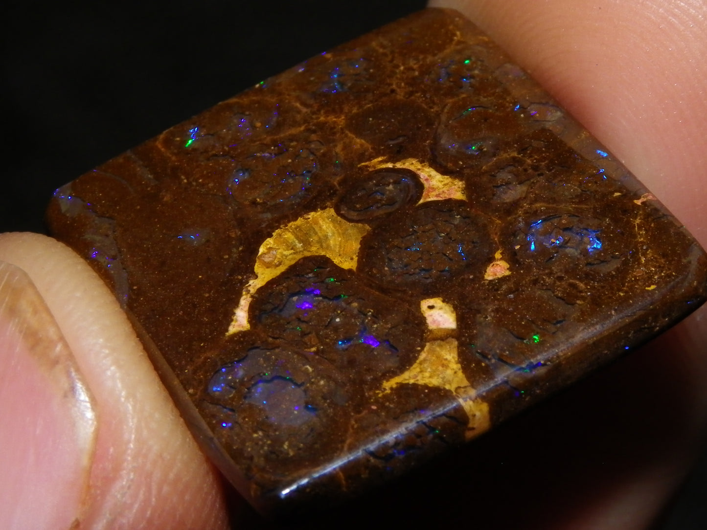 5 Nice Cut/Polished Koroit Opals 260cts Queensland Australia Green Fires