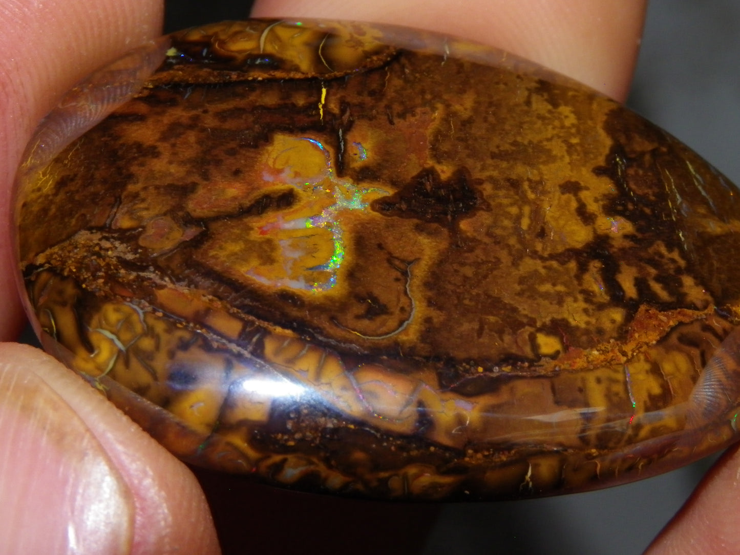 5 Nice Cut/Polished Koroit Opals 260cts Queensland Australia Green Fires