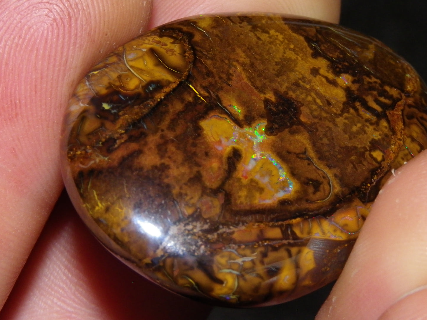 5 Nice Cut/Polished Koroit Opals 260cts Queensland Australia Green Fires