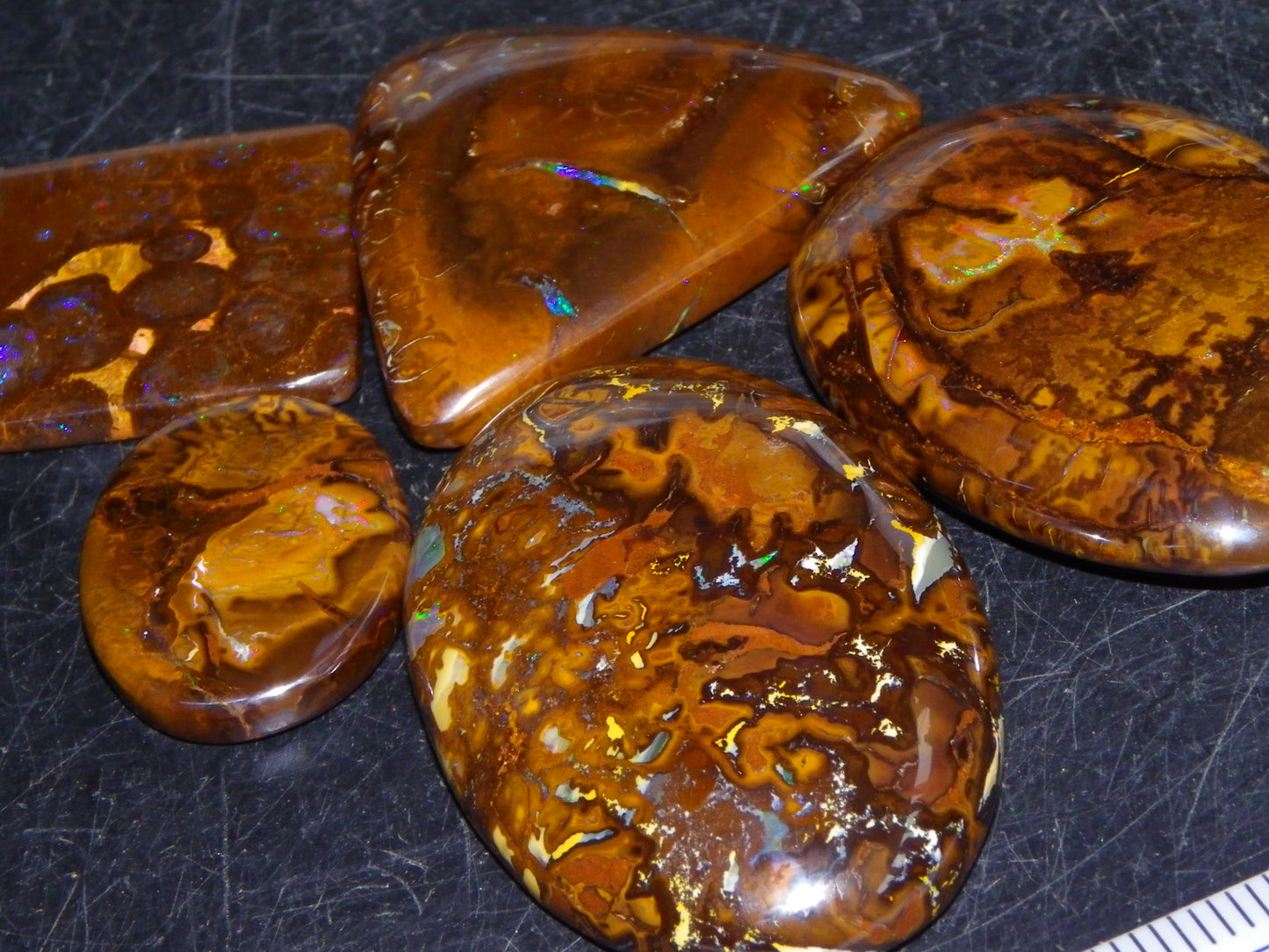 5 Nice Cut/Polished Koroit Opals 260cts Queensland Australia Green Fires