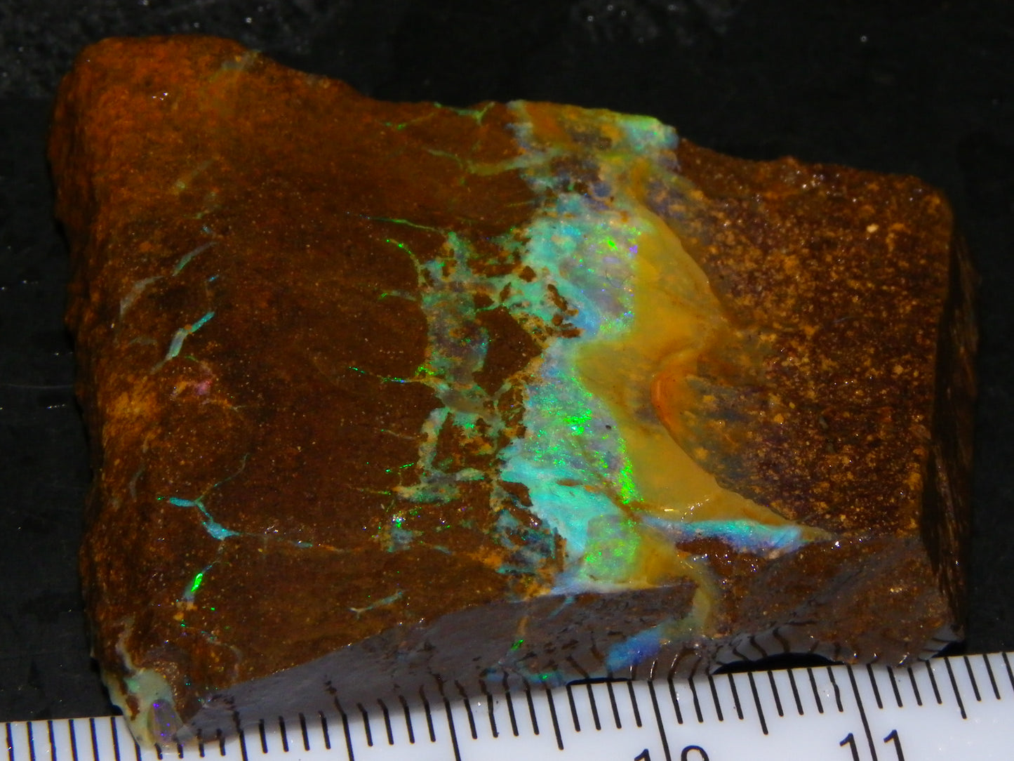 Nice Boulder Opal Specimen 158cts Queensland Australia Blue/Green Face :)