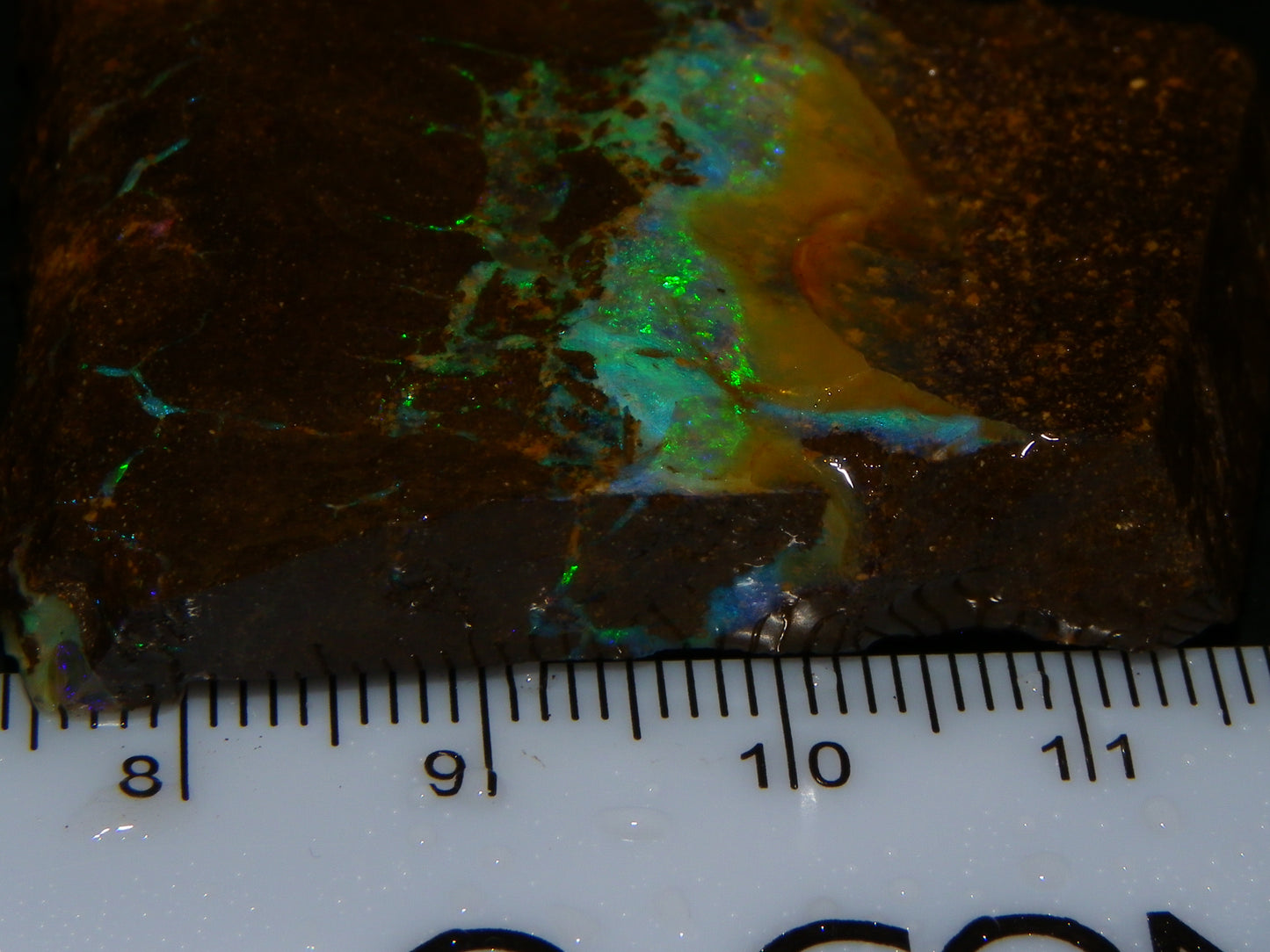 Nice Boulder Opal Specimen 158cts Queensland Australia Blue/Green Face :)