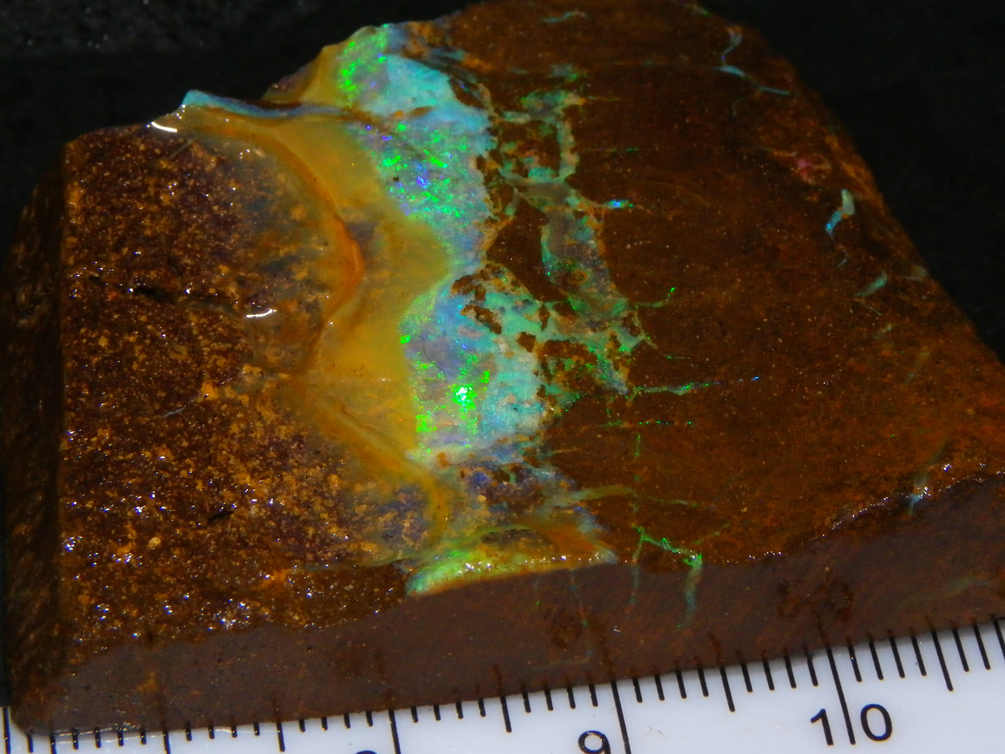 Nice Boulder Opal Specimen 158cts Queensland Australia Blue/Green Face :)