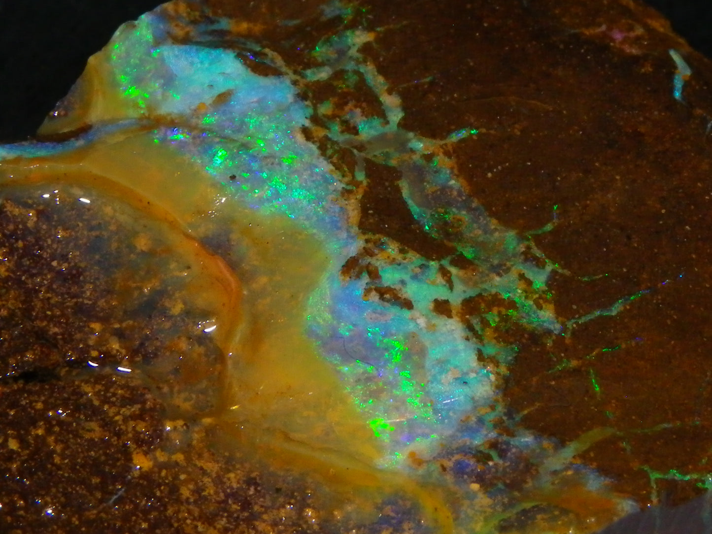 Nice Boulder Opal Specimen 158cts Queensland Australia Blue/Green Face :)