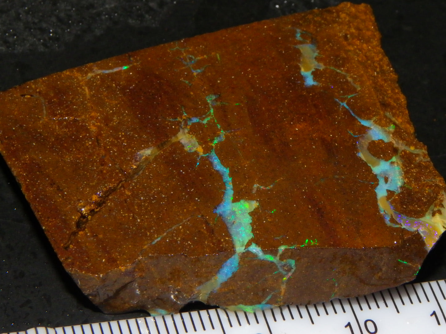 Nice Boulder Opal Specimen 158cts Queensland Australia Blue/Green Face :)