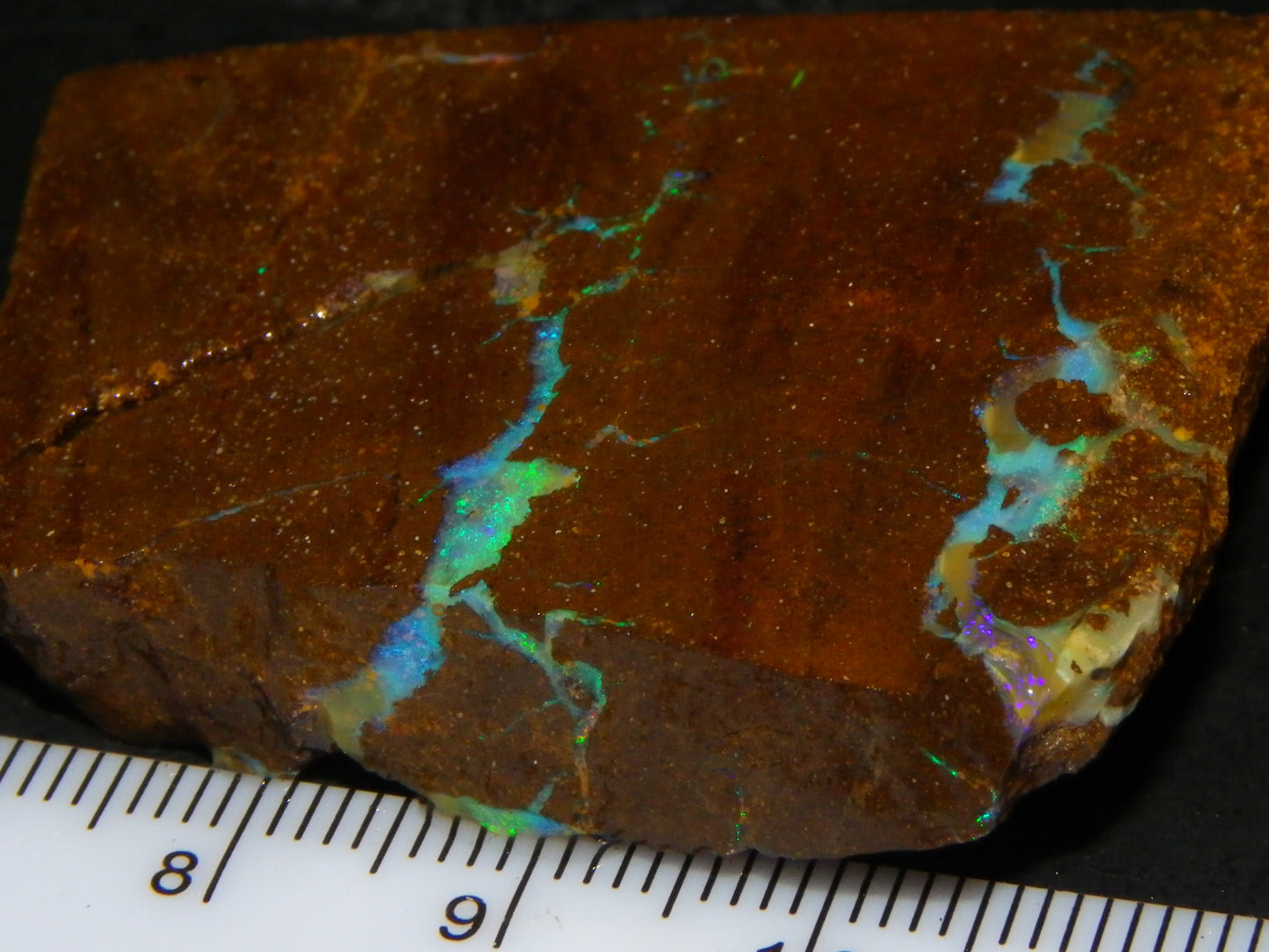 Nice Boulder Opal Specimen 158cts Queensland Australia Blue/Green Face :)