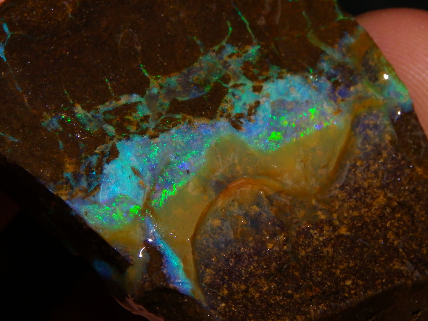 Nice Boulder Opal Specimen 158cts Queensland Australia Blue/Green Face :)