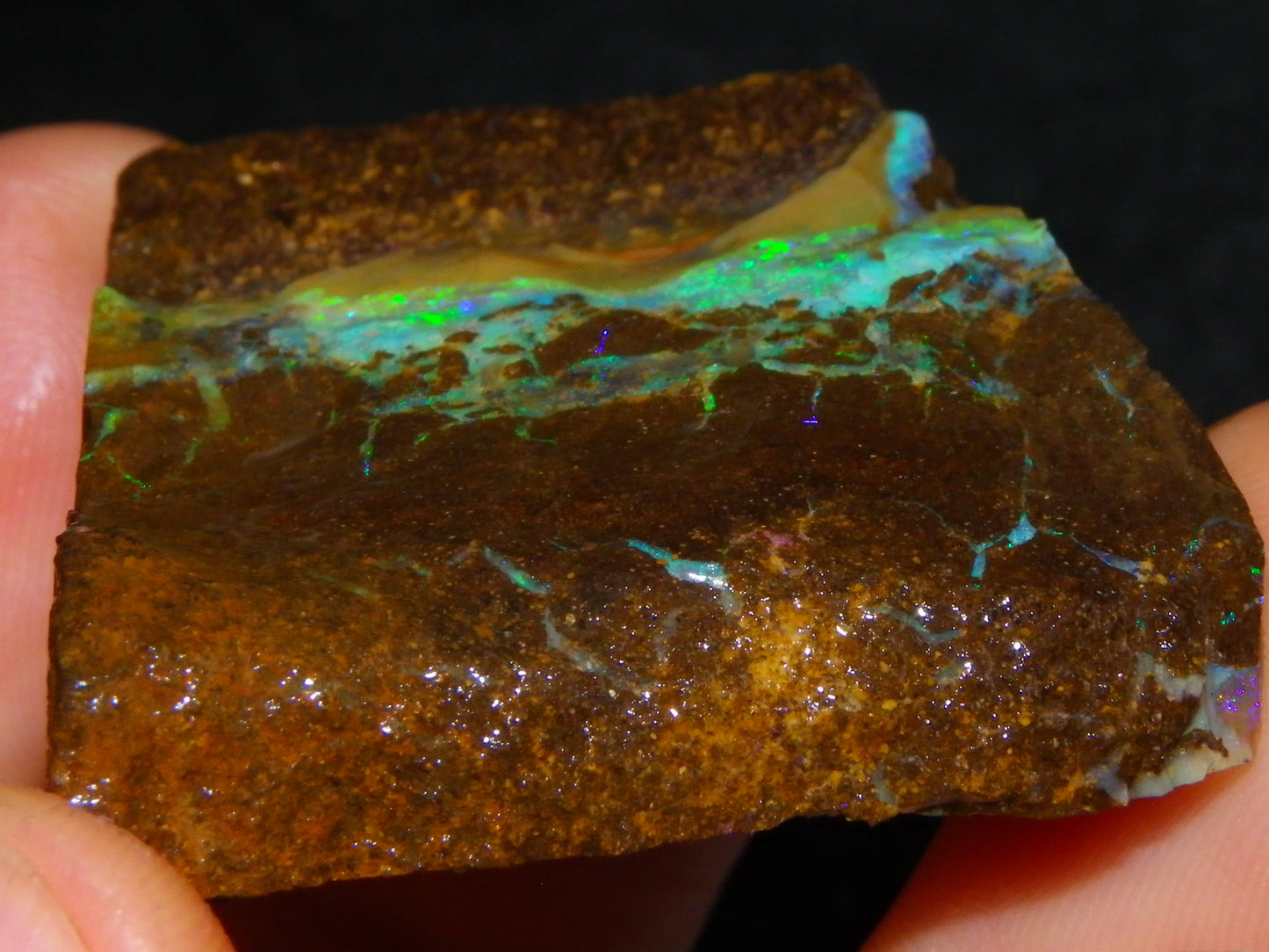 Nice Boulder Opal Specimen 158cts Queensland Australia Blue/Green Face :)