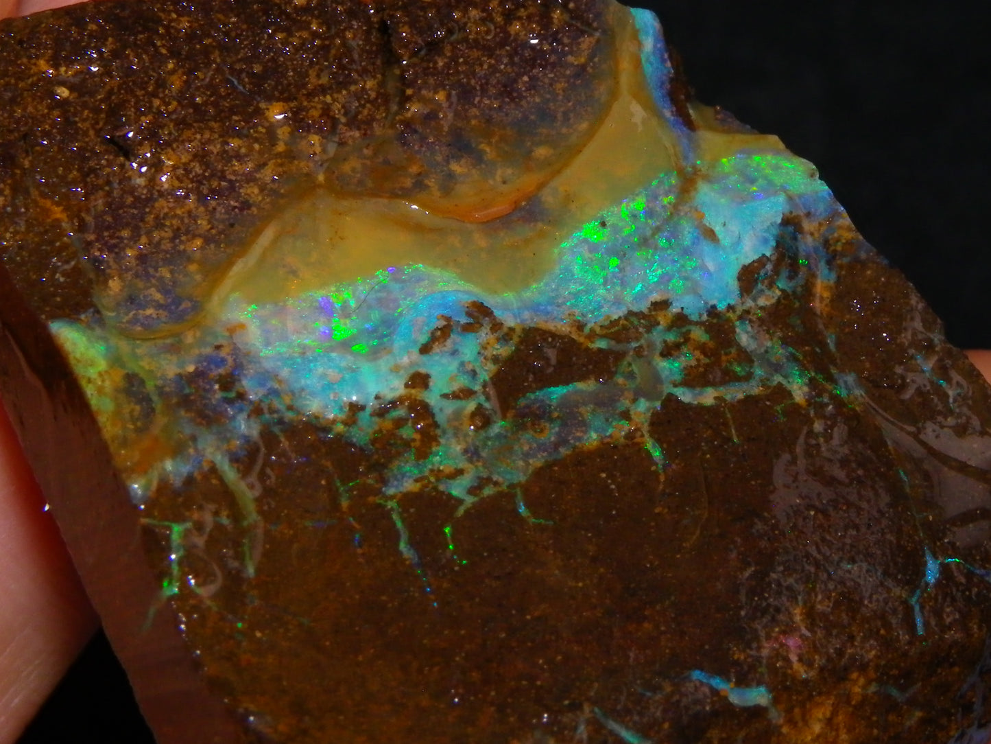 Nice Boulder Opal Specimen 158cts Queensland Australia Blue/Green Face :)