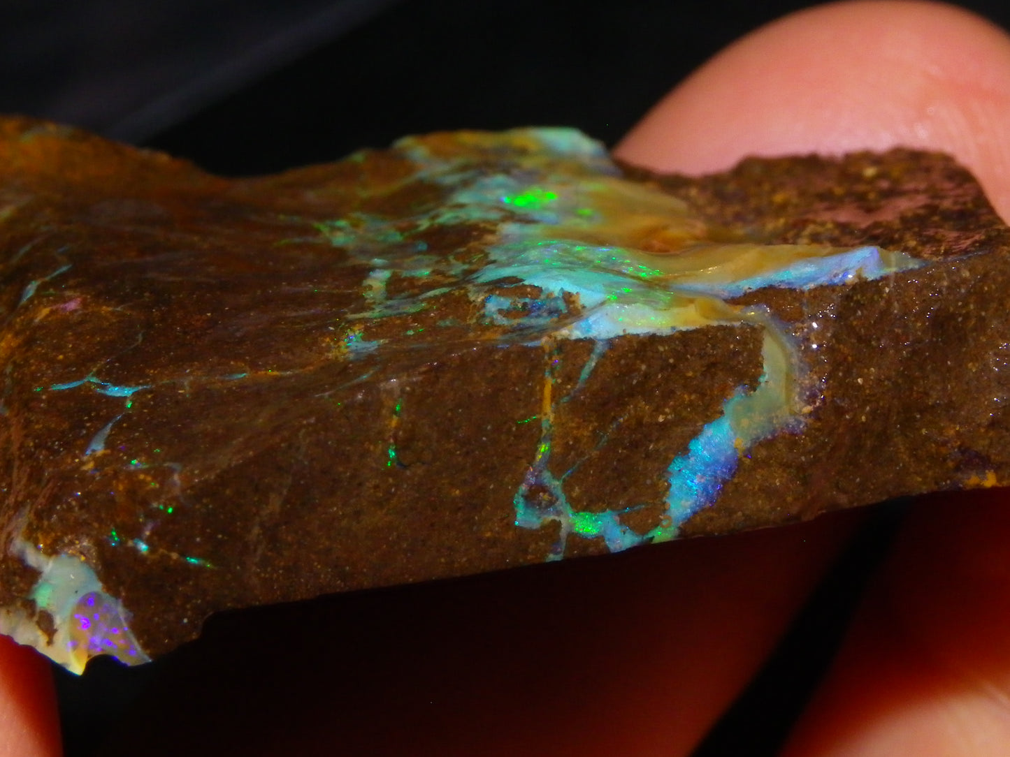 Nice Boulder Opal Specimen 158cts Queensland Australia Blue/Green Face :)