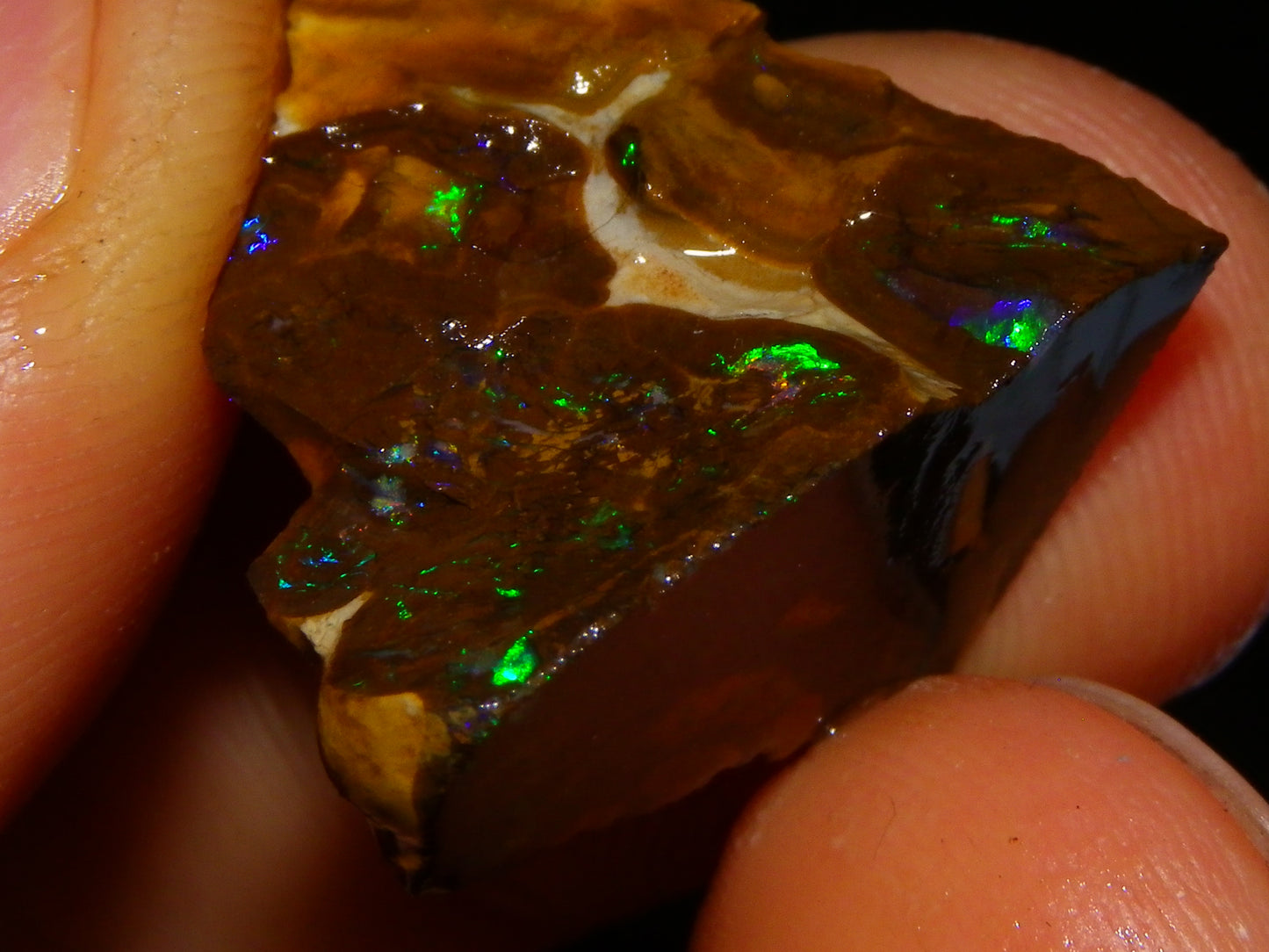 2 Nice Rough/Sliced Matrix/Koroit Opals 145.2cts Red/Green Fires Queensland Australia.