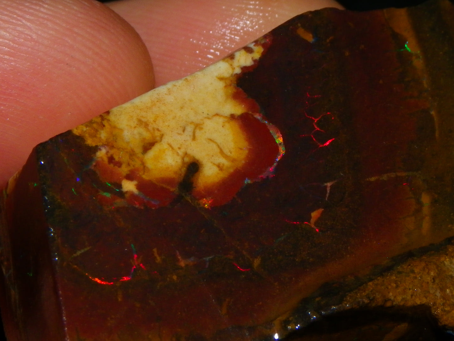 2 Nice Rough/Sliced Matrix/Koroit Opals 145.2cts Red/Green Fires Queensland Australia.