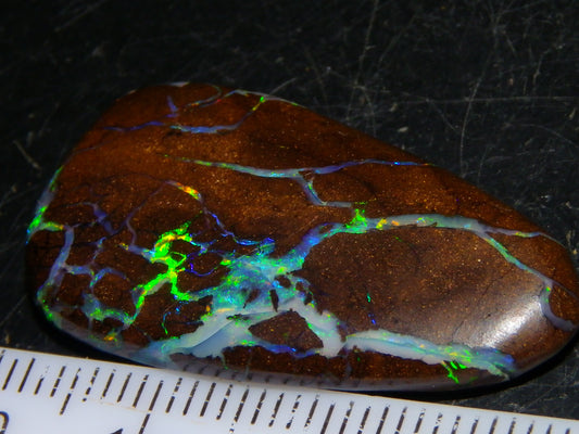 Quality Freeform Boulder Opal Cab 28.6cts Multicolour Veins/Fires Opalton Queensland Australia