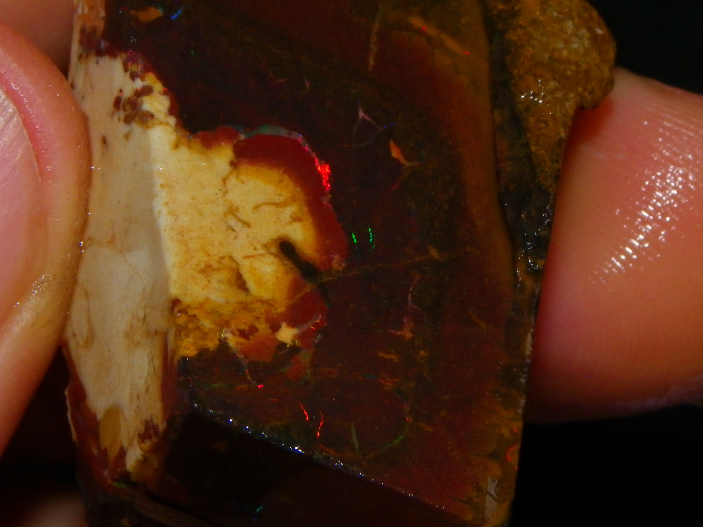 2 Nice Rough/Sliced Matrix/Koroit Opals 145.2cts Red/Green Fires Queensland Australia.