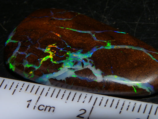 Quality Freeform Boulder Opal Cab 28.6cts Multicolour Veins/Fires Opalton Queensland Australia