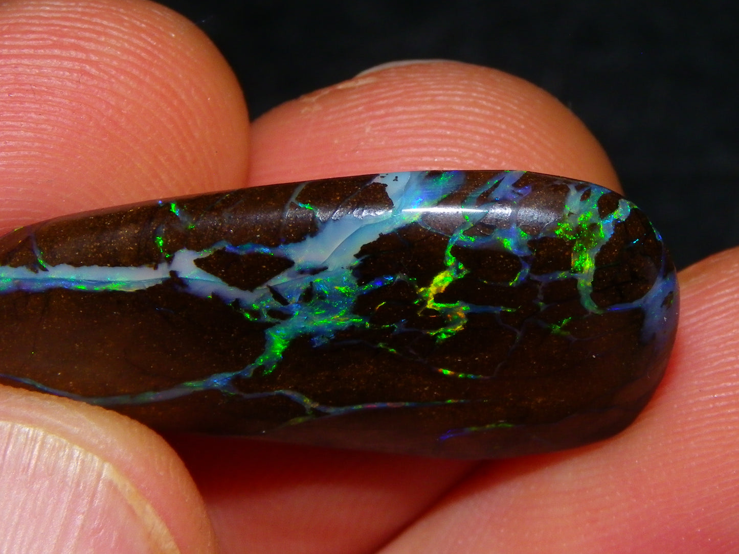 Quality Freeform Boulder Opal Cab 28.6cts Multicolour Veins/Fires Opalton Queensland Australia