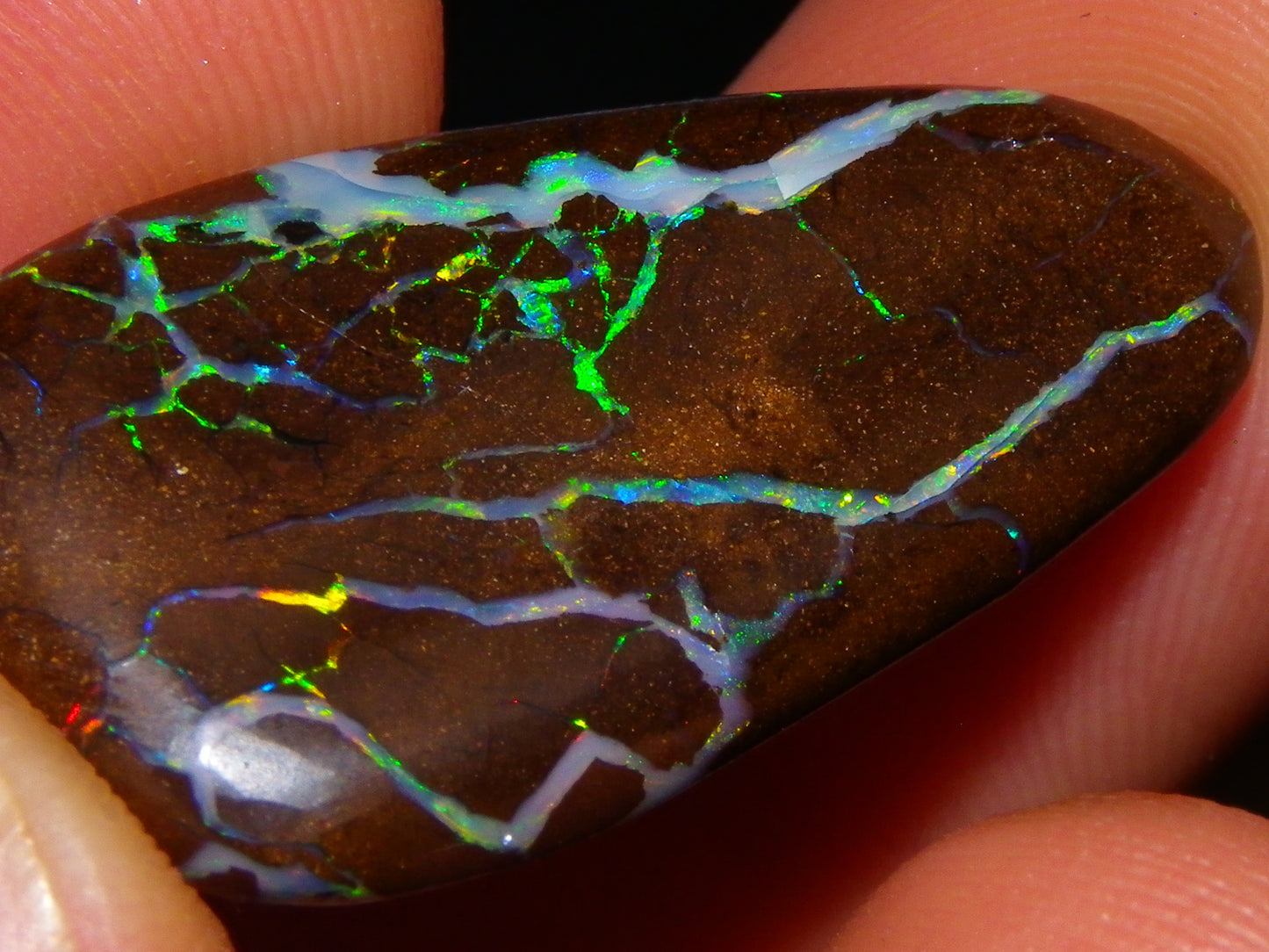 Quality Freeform Boulder Opal Cab 28.6cts Multicolour Veins/Fires Opalton Queensland Australia