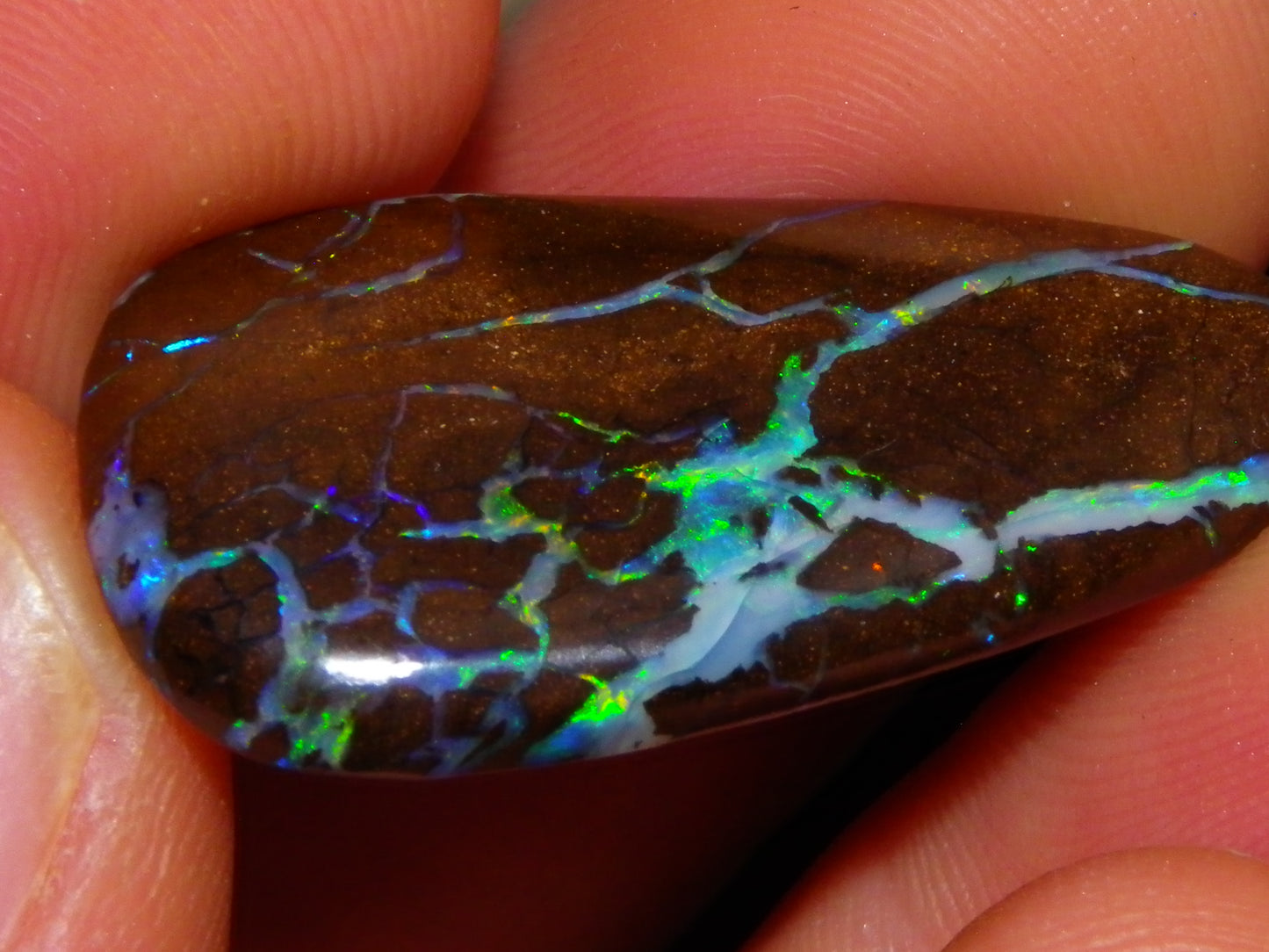 Quality Freeform Boulder Opal Cab 28.6cts Multicolour Veins/Fires Opalton Queensland Australia