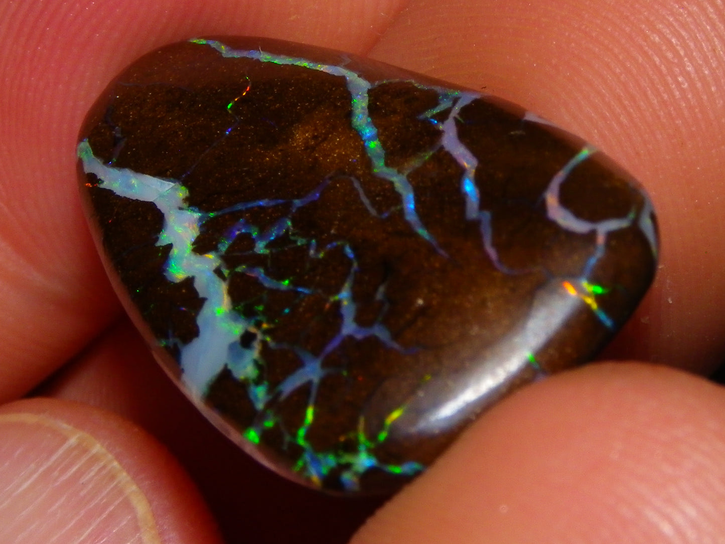 Quality Freeform Boulder Opal Cab 28.6cts Multicolour Veins/Fires Opalton Queensland Australia