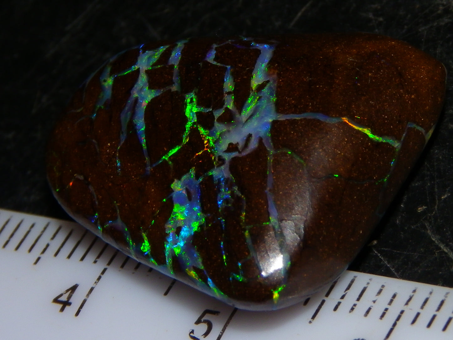 Quality Cut/Polished Boulder Opal Freeform Cab 29.63cts Opalton Queensland Australia Multicolours