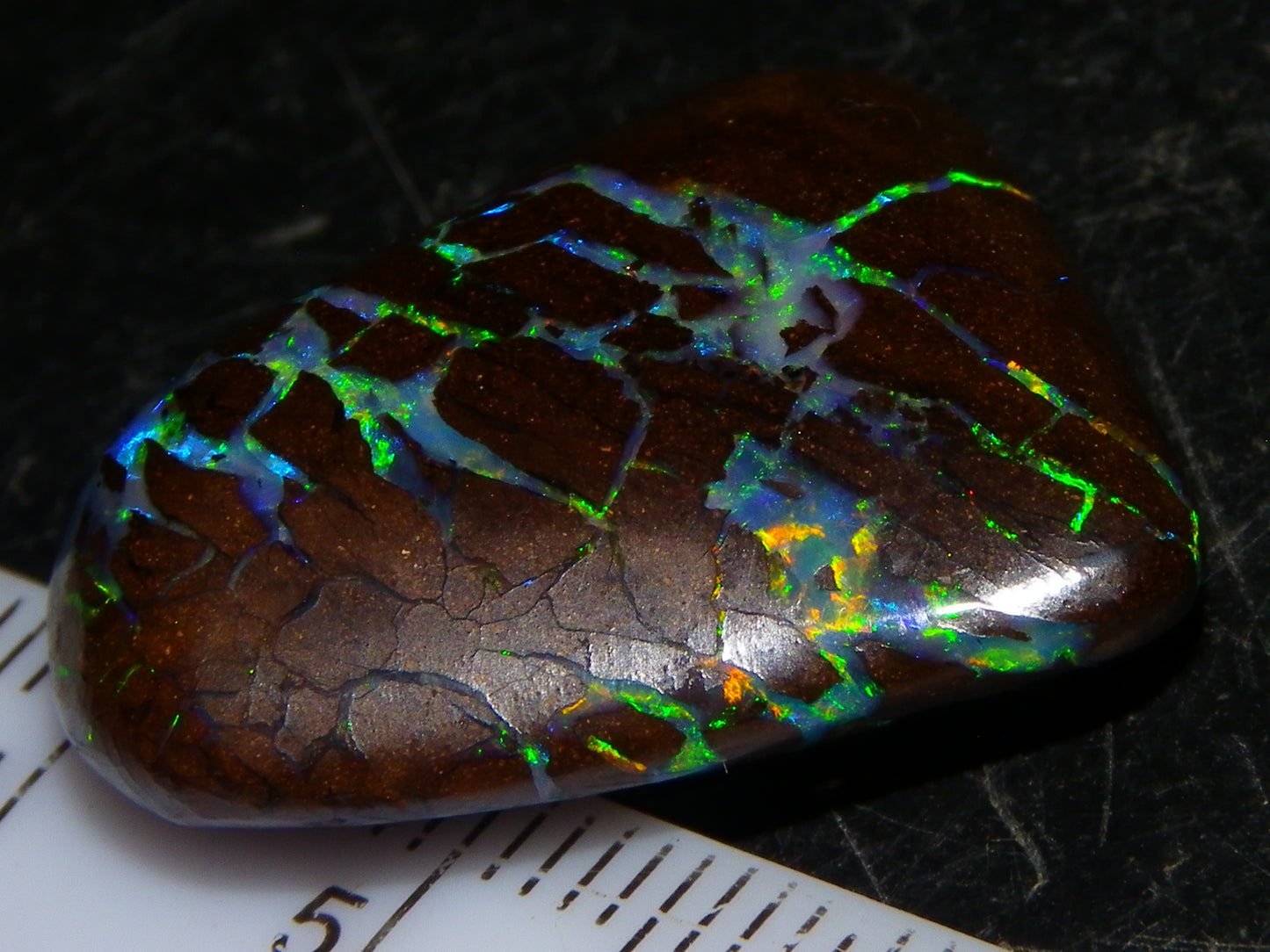 Quality Cut/Polished Boulder Opal Freeform Cab 29.63cts Opalton Queensland Australia Multicolours