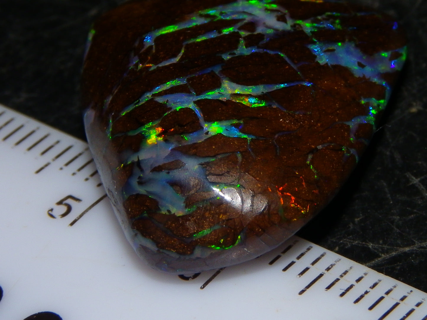 Quality Cut/Polished Boulder Opal Freeform Cab 29.63cts Opalton Queensland Australia Multicolours