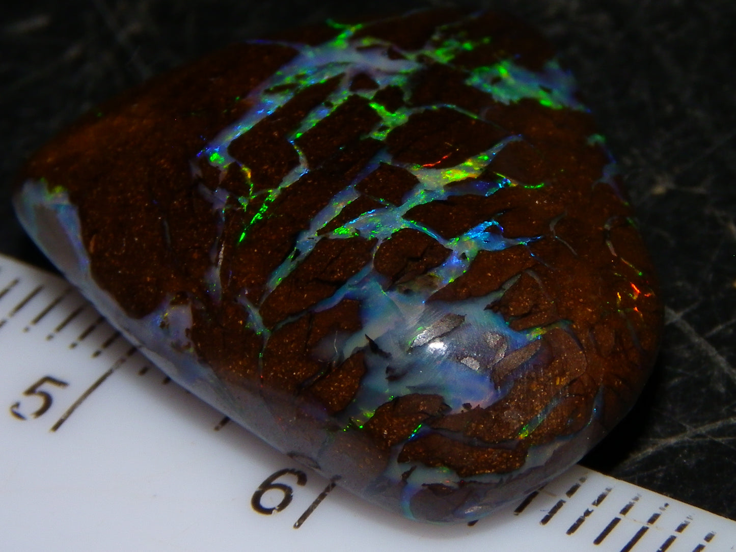 Quality Cut/Polished Boulder Opal Freeform Cab 29.63cts Opalton Queensland Australia Multicolours