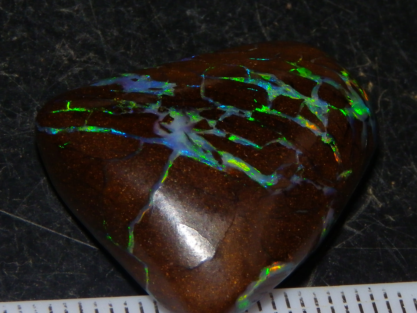 Quality Cut/Polished Boulder Opal Freeform Cab 29.63cts Opalton Queensland Australia Multicolours
