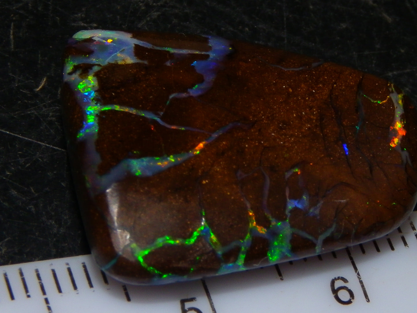 Quality Cut/Polished Boulder Opal Freeform Cab 29.63cts Opalton Queensland Australia Multicolours