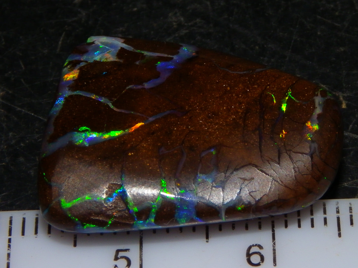 Quality Cut/Polished Boulder Opal Freeform Cab 29.63cts Opalton Queensland Australia Multicolours