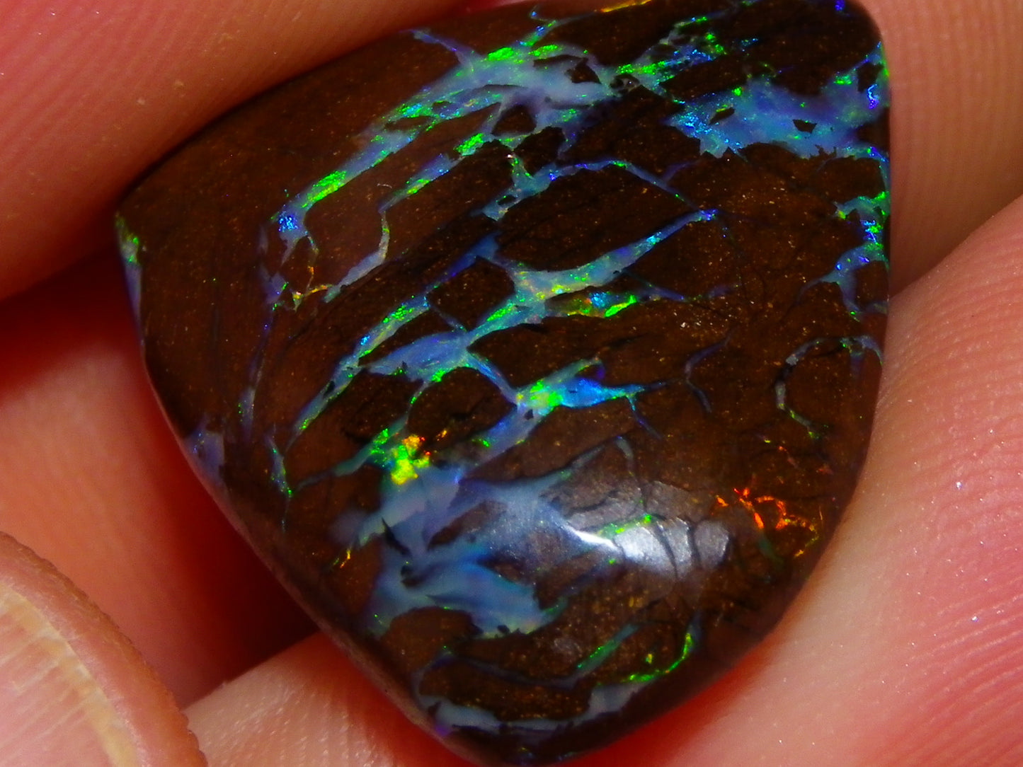 Quality Cut/Polished Boulder Opal Freeform Cab 29.63cts Opalton Queensland Australia Multicolours