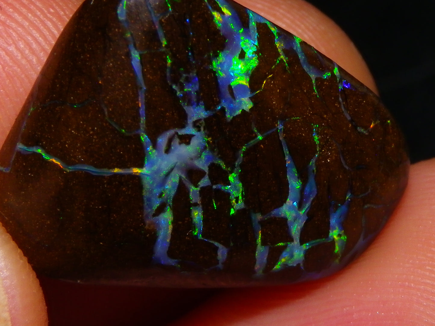 Quality Cut/Polished Boulder Opal Freeform Cab 29.63cts Opalton Queensland Australia Multicolours
