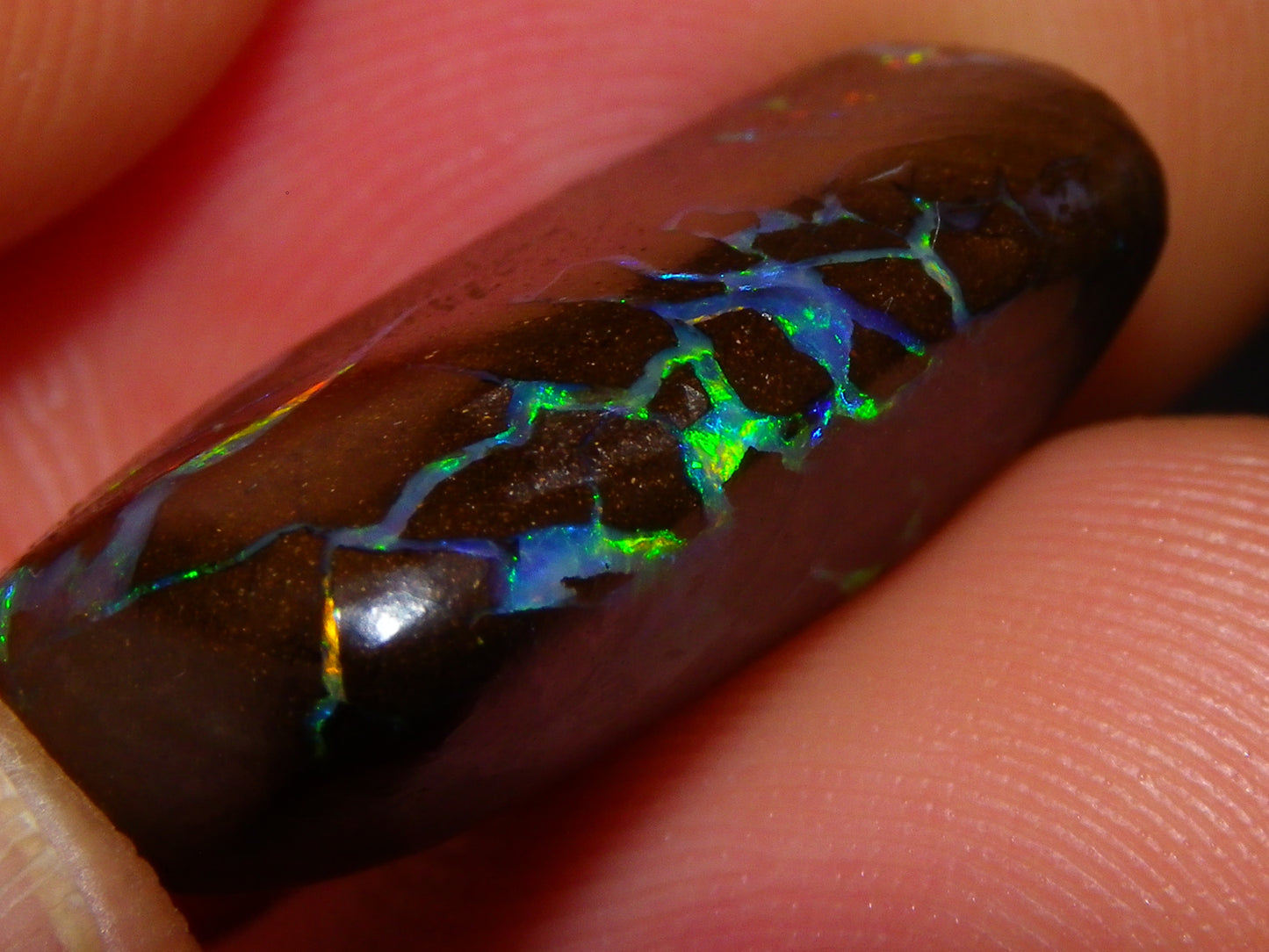 Quality Cut/Polished Boulder Opal Freeform Cab 29.63cts Opalton Queensland Australia Multicolours