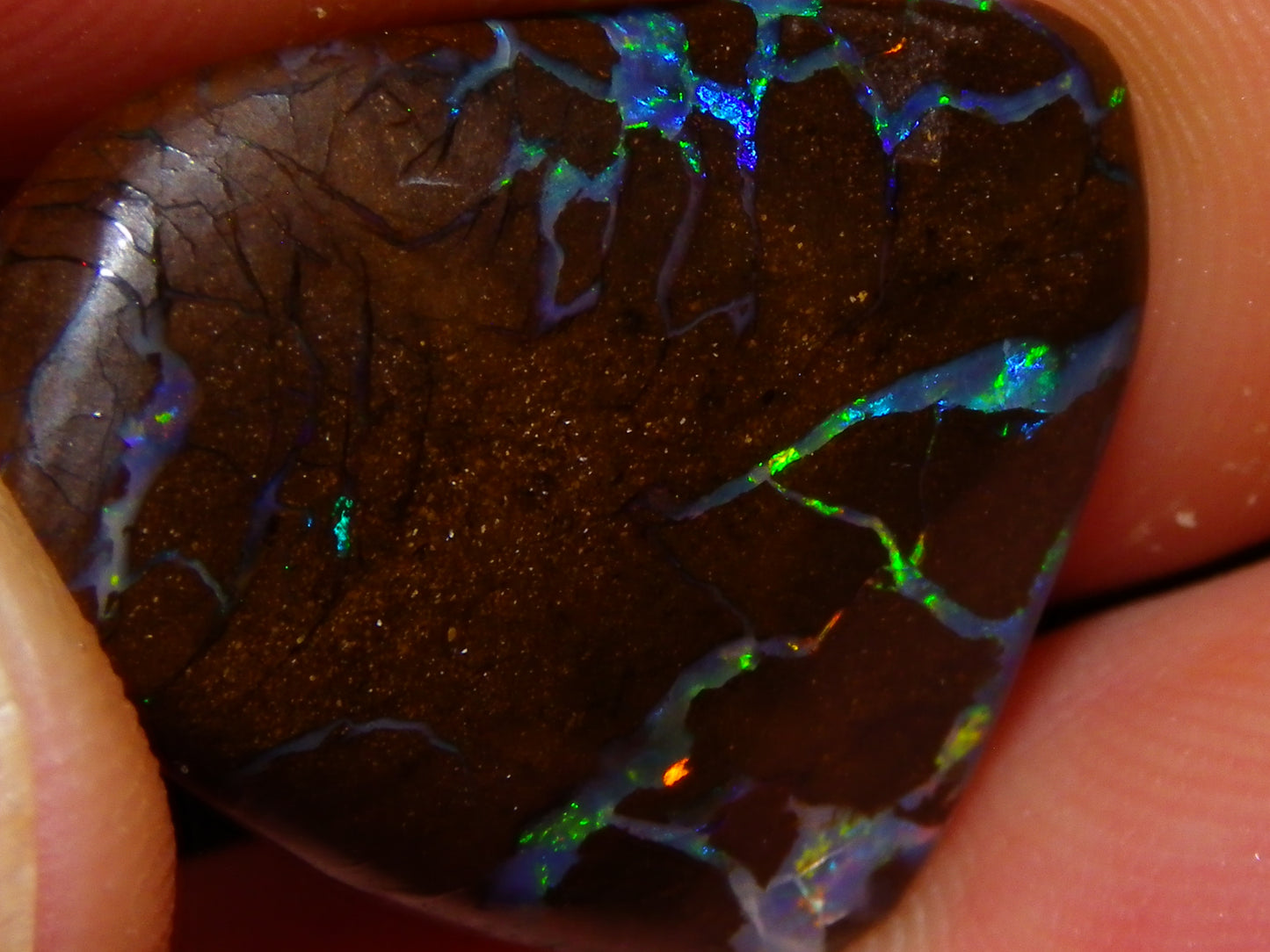 Quality Cut/Polished Boulder Opal Freeform Cab 29.63cts Opalton Queensland Australia Multicolours