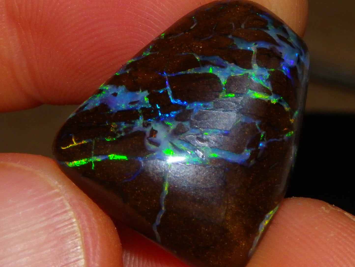 Quality Cut/Polished Boulder Opal Freeform Cab 29.63cts Opalton Queensland Australia Multicolours
