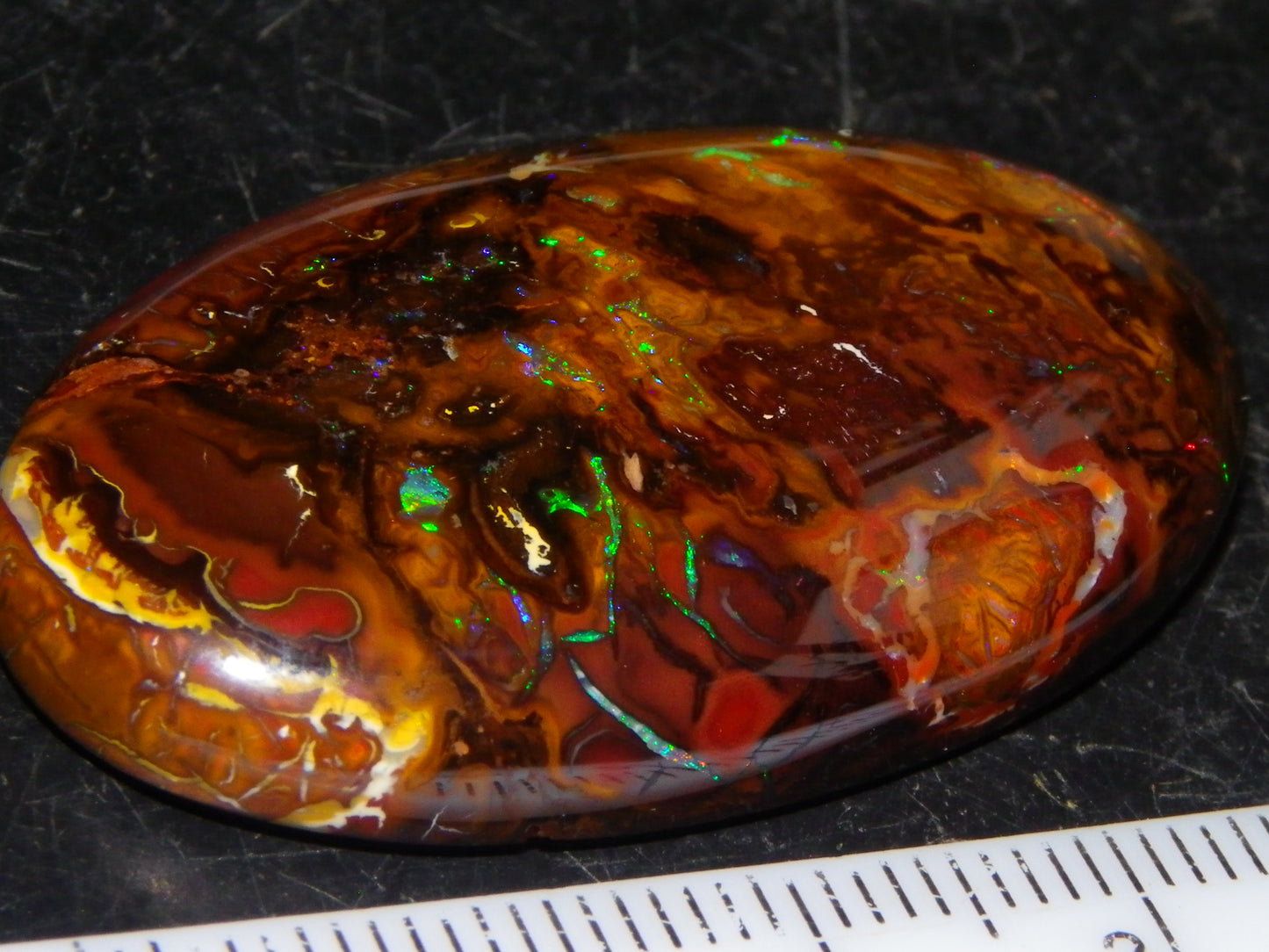 Nice Large Koroit Opal Cab 66.4cts Green/Blue/Red Fires Queensland Australia