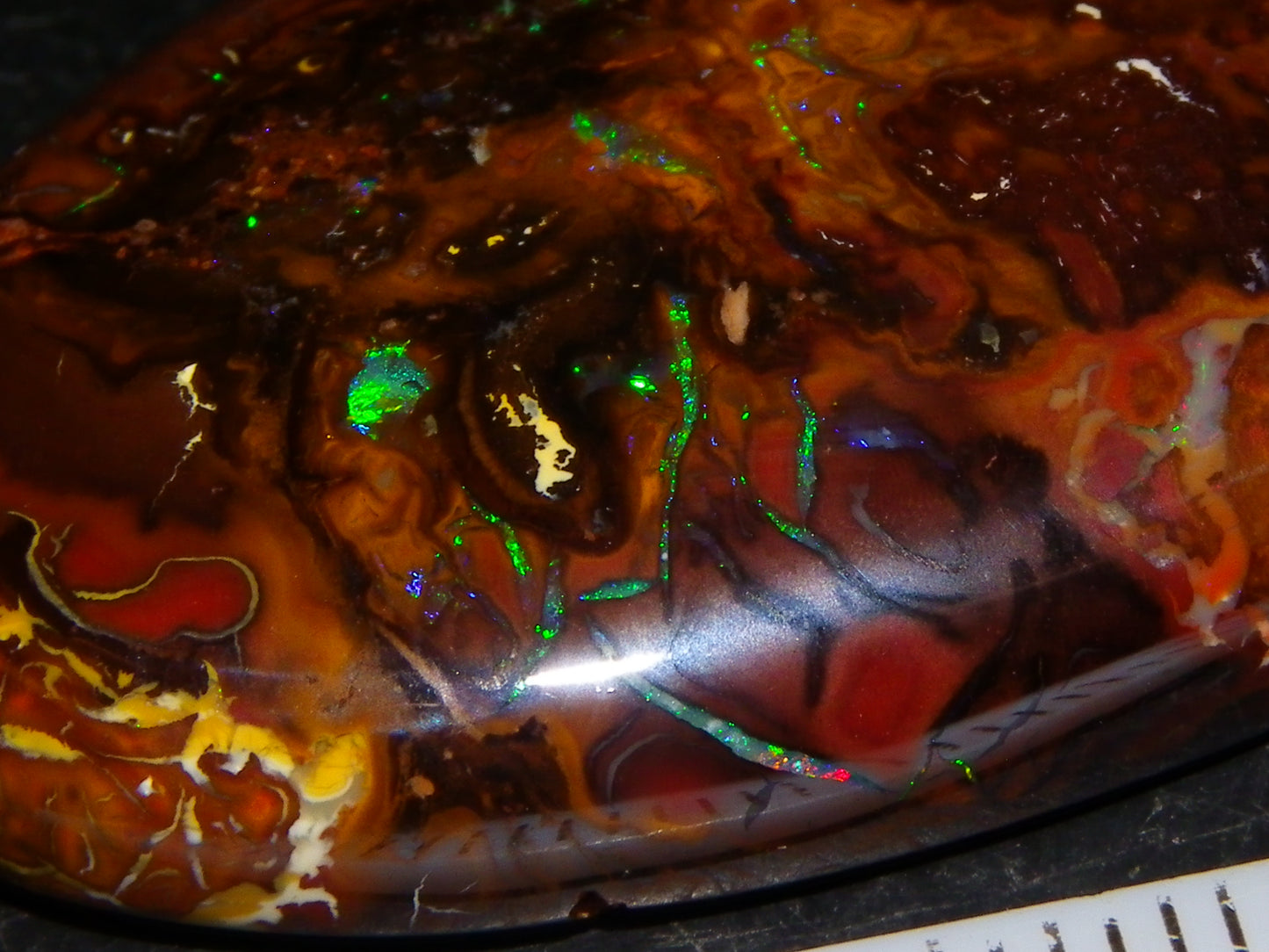 Nice Large Koroit Opal Cab 66.4cts Green/Blue/Red Fires Queensland Australia