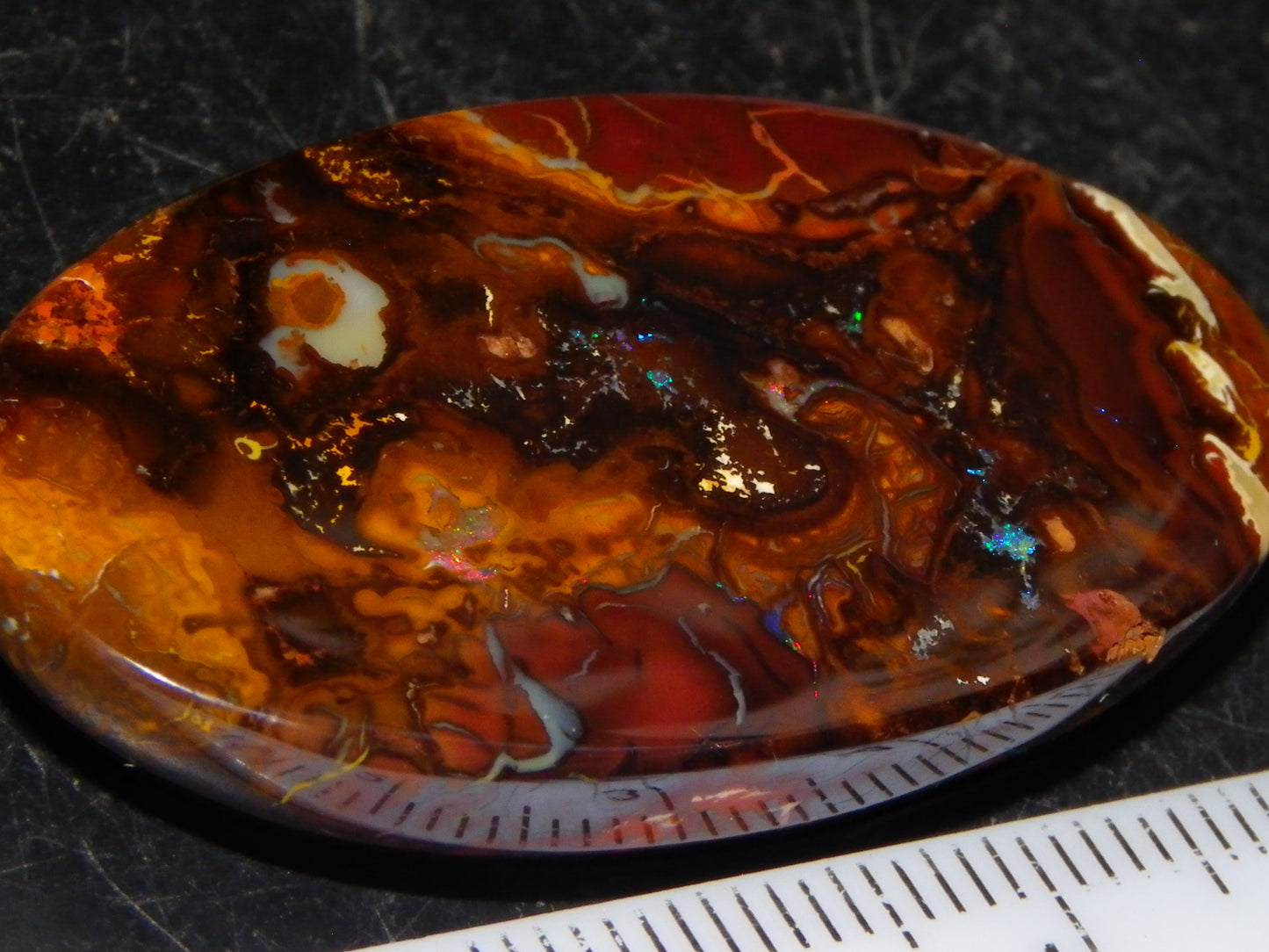 Nice Large Koroit Opal Cab 66.4cts Green/Blue/Red Fires Queensland Australia