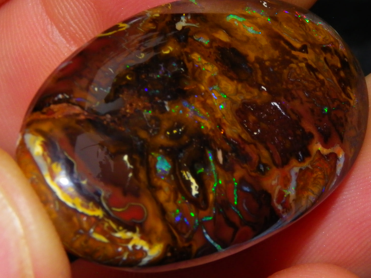 Nice Large Koroit Opal Cab 66.4cts Green/Blue/Red Fires Queensland Australia