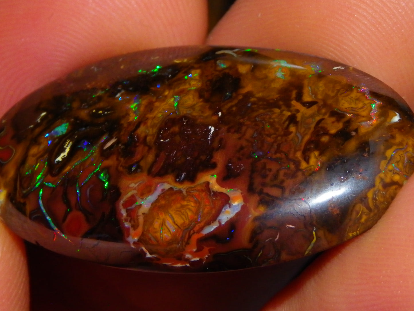Nice Large Koroit Opal Cab 66.4cts Green/Blue/Red Fires Queensland Australia