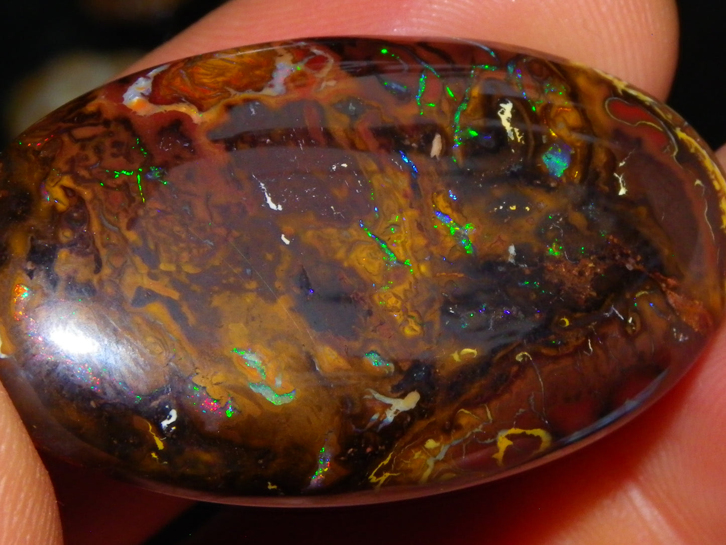 Nice Large Koroit Opal Cab 66.4cts Green/Blue/Red Fires Queensland Australia