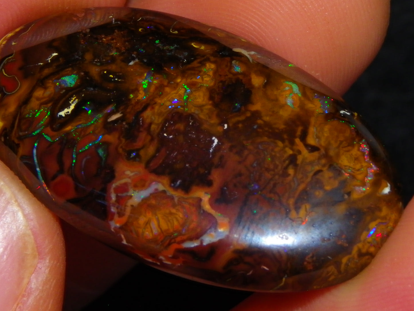 Nice Large Koroit Opal Cab 66.4cts Green/Blue/Red Fires Queensland Australia
