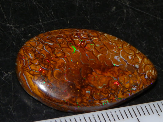 Nice Koroit Opal Skin Nut Cab 23.7cts Red/Green Fires/Patterns Queensland Australia