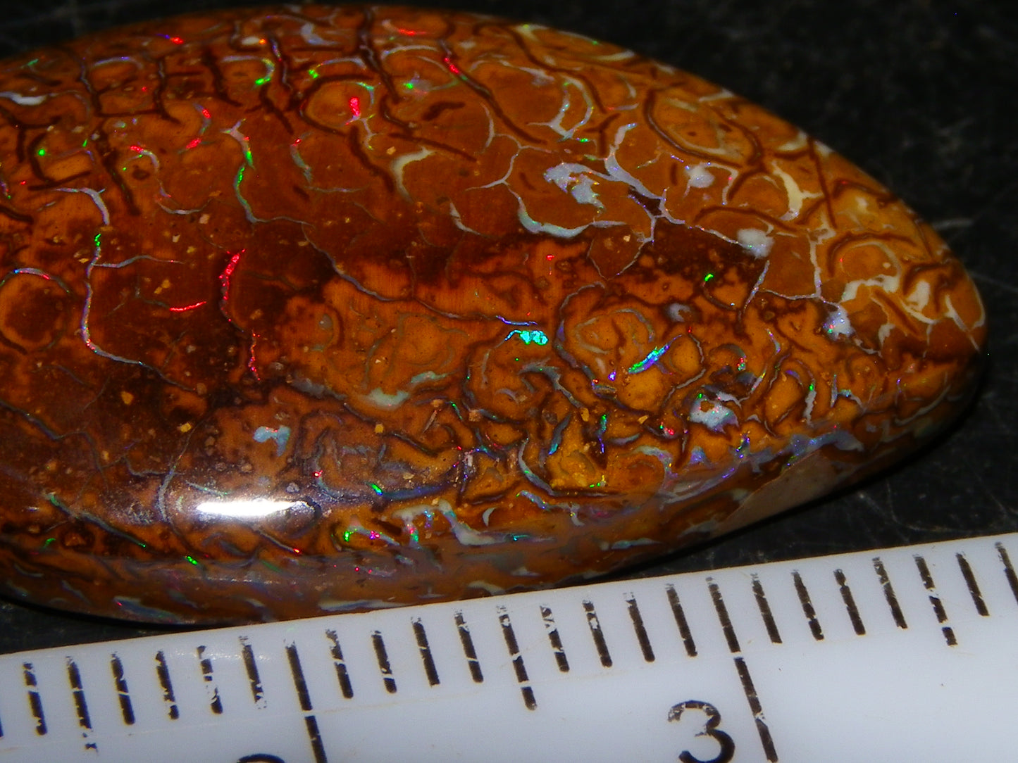 Nice Koroit Opal Skin Nut Cab 23.7cts Red/Green Fires/Patterns Queensland Australia