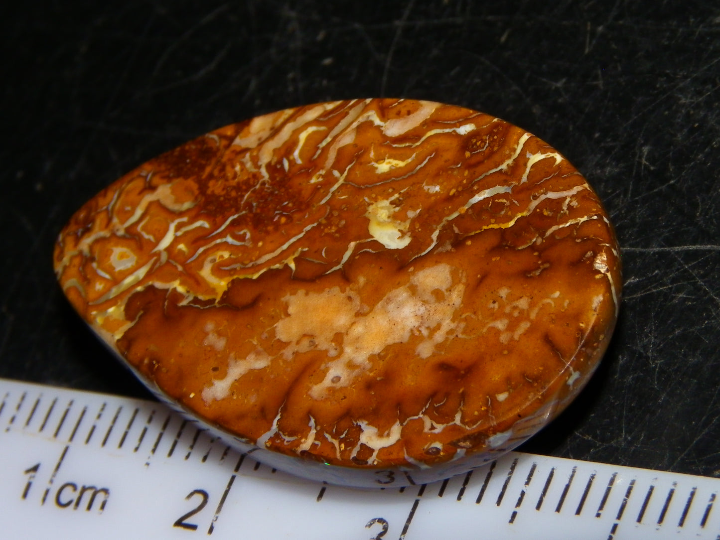 Nice Koroit Opal Skin Nut Cab 23.7cts Red/Green Fires/Patterns Queensland Australia