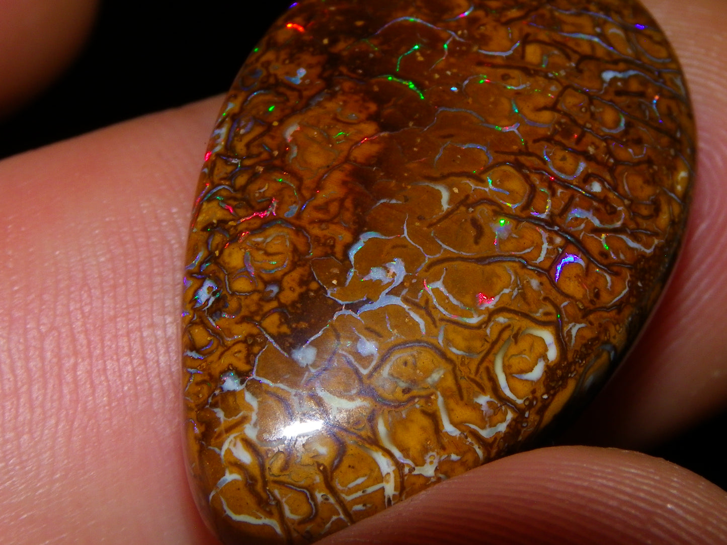 Nice Koroit Opal Skin Nut Cab 23.7cts Red/Green Fires/Patterns Queensland Australia