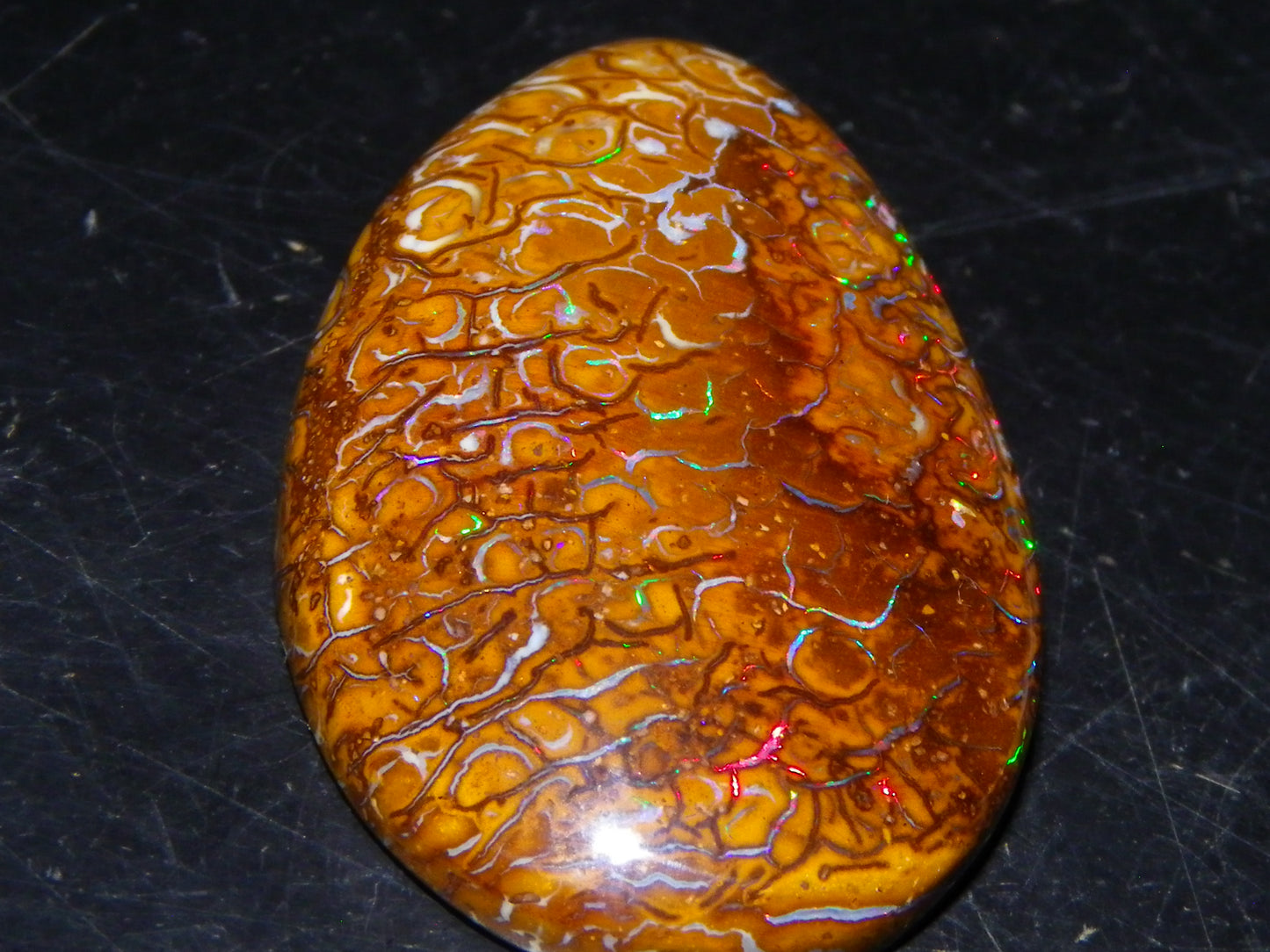 Nice Koroit Opal Skin Nut Cab 23.7cts Red/Green Fires/Patterns Queensland Australia