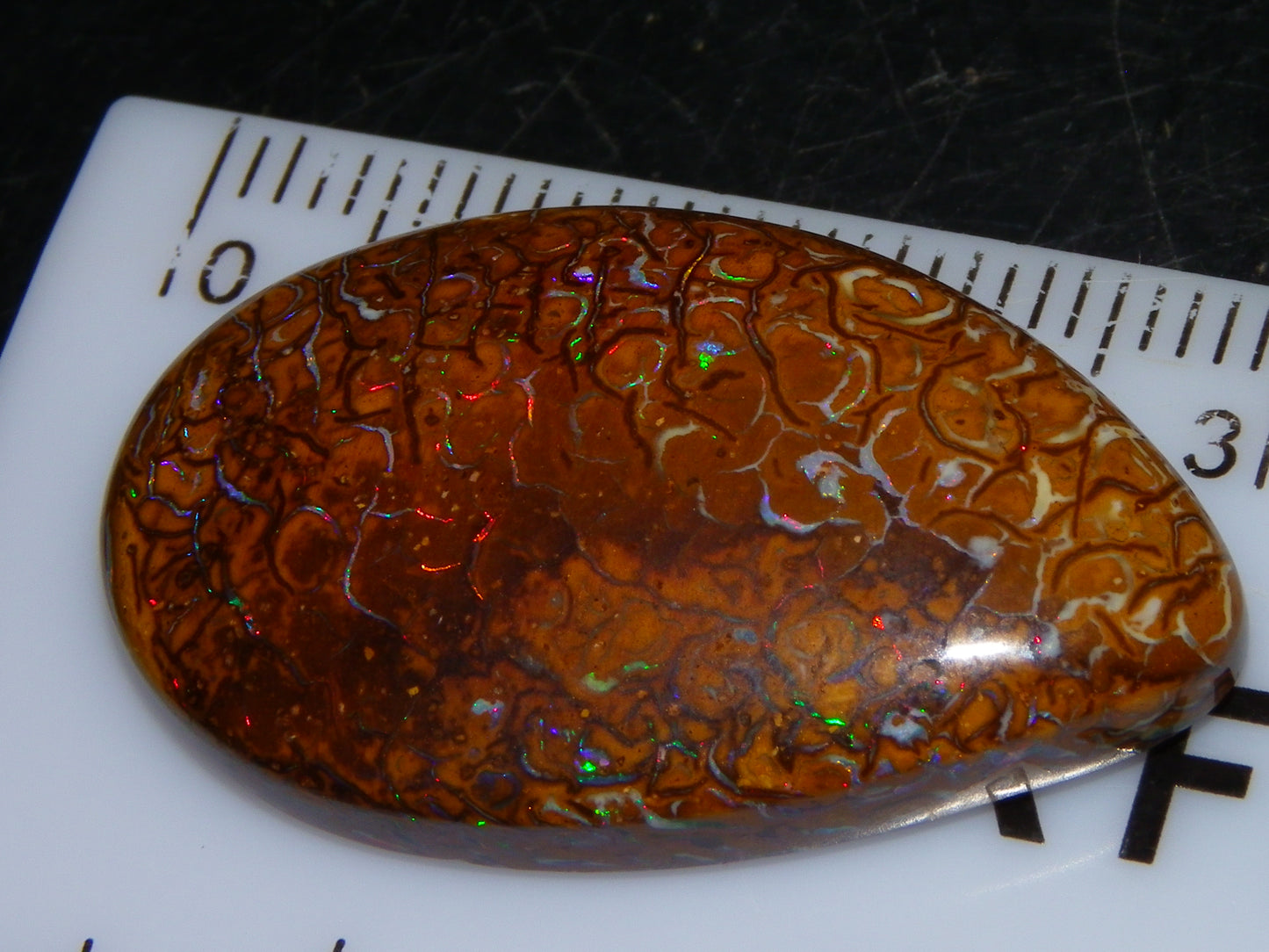 Nice Koroit Opal Skin Nut Cab 23.7cts Red/Green Fires/Patterns Queensland Australia