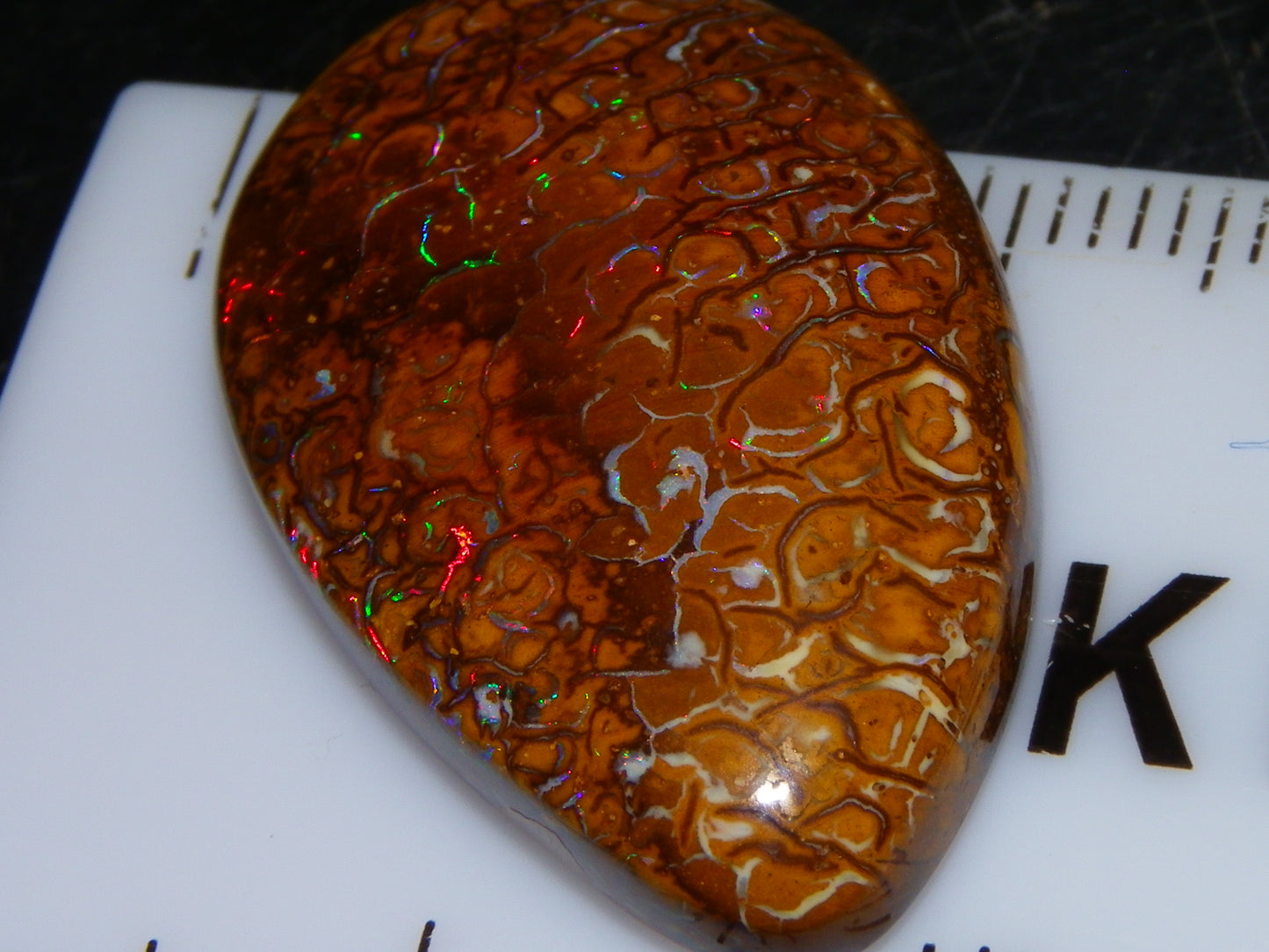 Nice Koroit Opal Skin Nut Cab 23.7cts Red/Green Fires/Patterns Queensland Australia