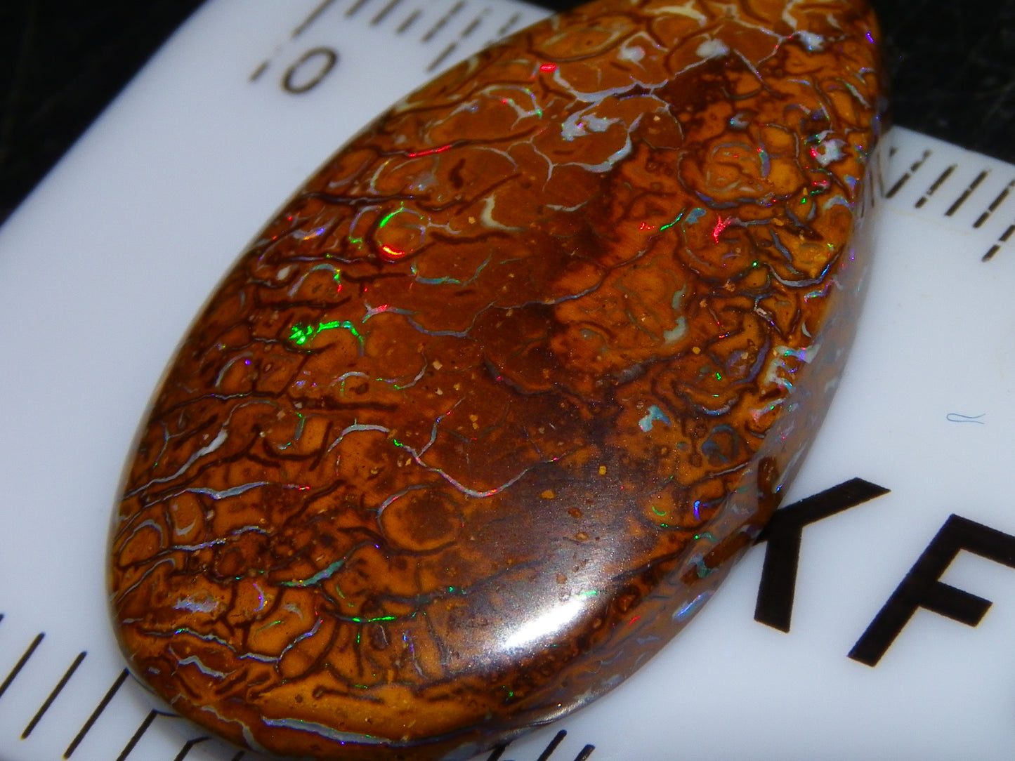 Nice Koroit Opal Skin Nut Cab 23.7cts Red/Green Fires/Patterns Queensland Australia